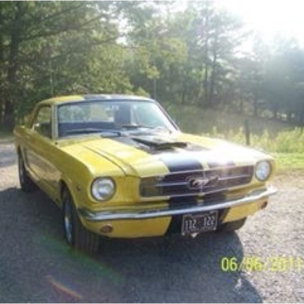 Meet your Posher, Penny